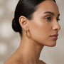 10K Gold Diamond Cut Scalloped Hoop Earrings model still