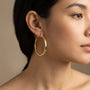 18K Yellow Gold Hoop Earrings model still
